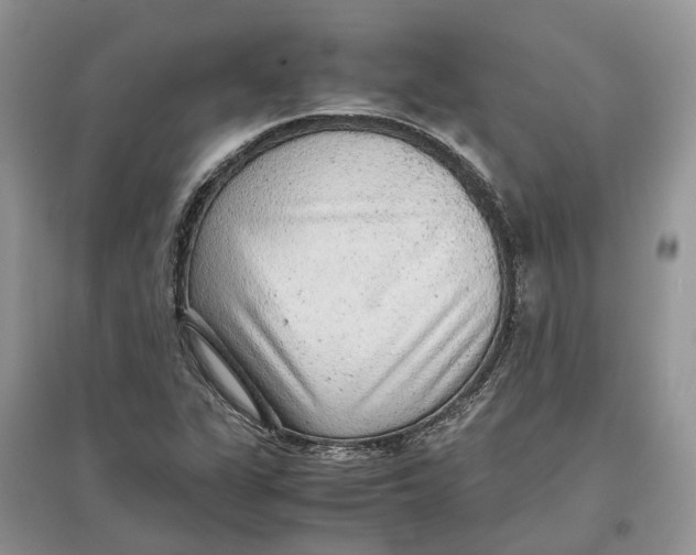 X0000097301311200803071744