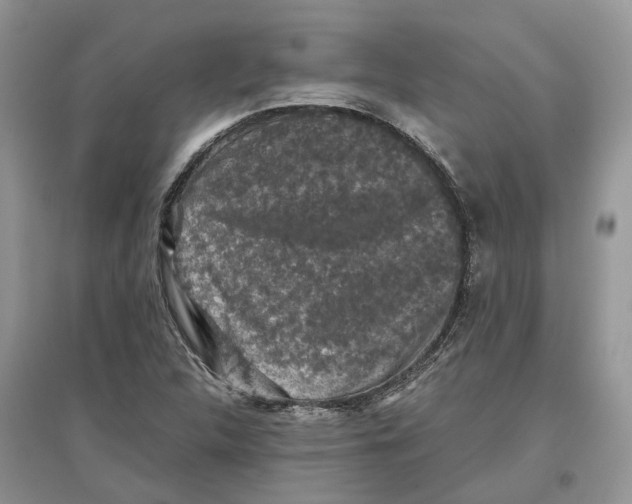 X0000097301312200803071744