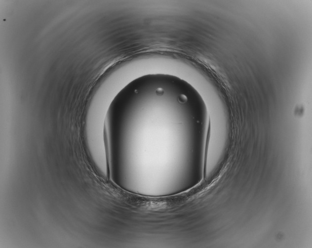 X0000097301313200803071744