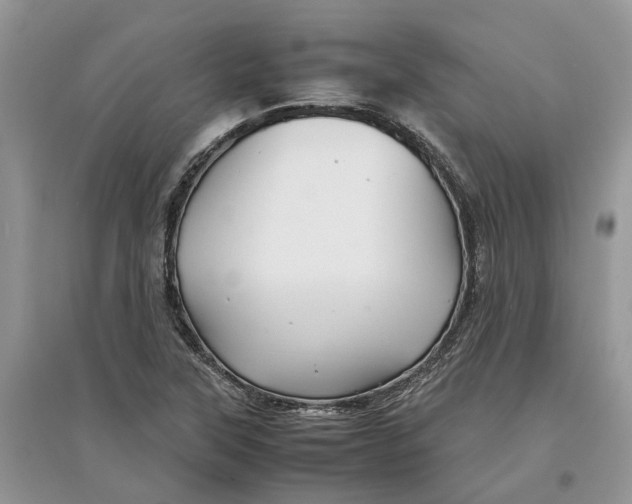 X0000097301315200803071744