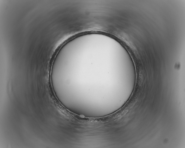 X0000097301316200803071744