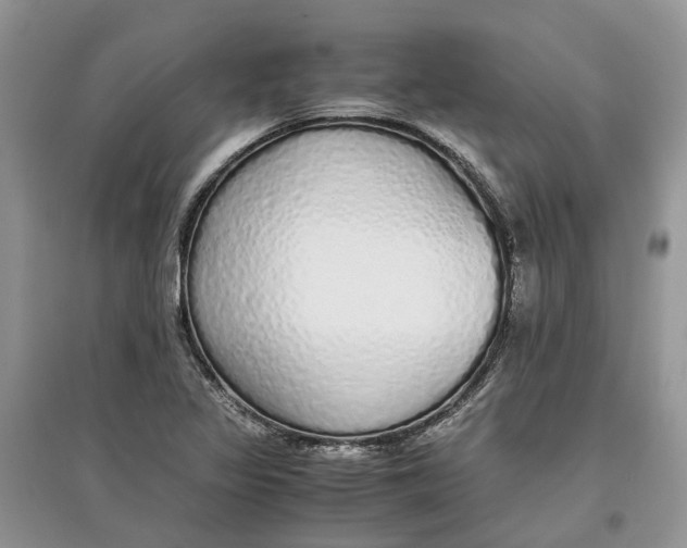 X0000097301317200803071744