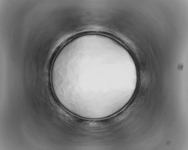 X0000097301318200803071744