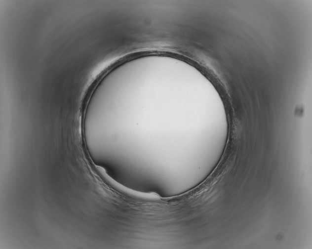 X0000097301320200803071744