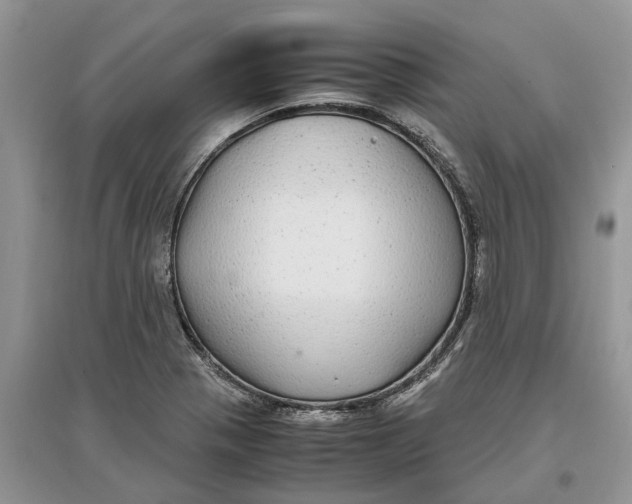 X0000097301321200803071744