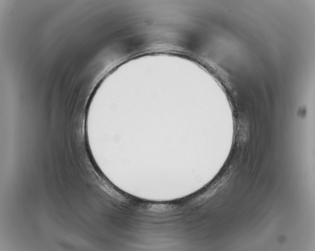 X0000097301322200803071744