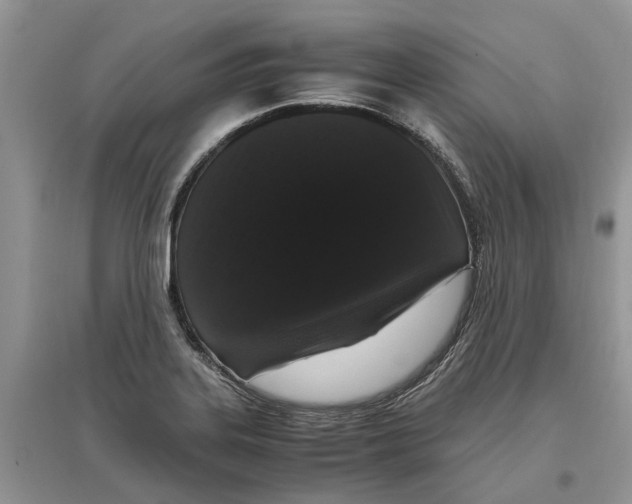 X0000097301323200803071744