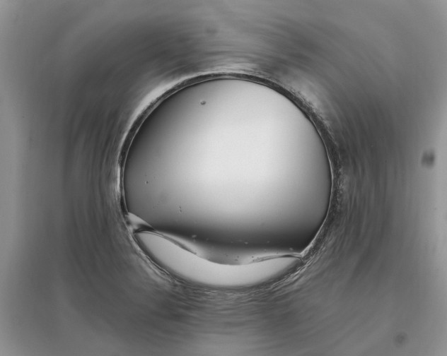 X0000097301324200803071744