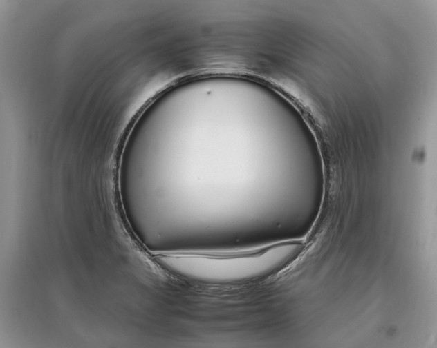 X0000097301325200803071744