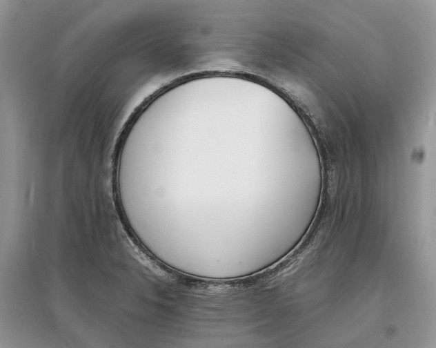 X0000097301326200803071744