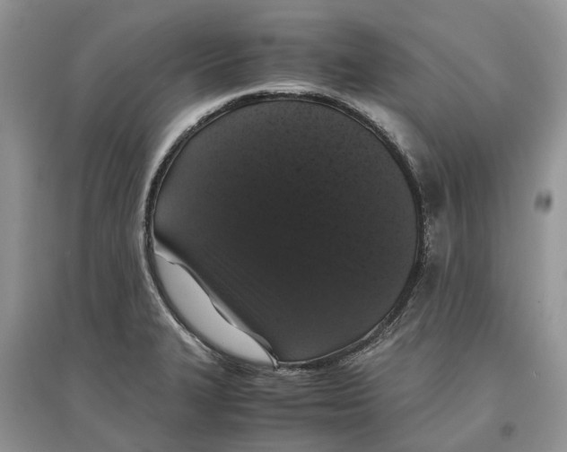 X0000097301327200803071744