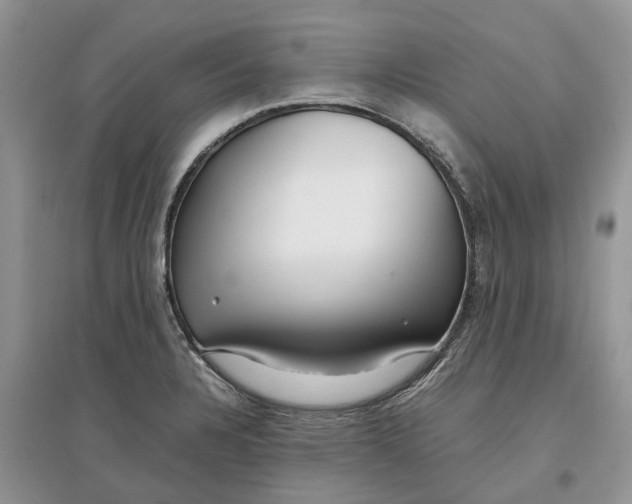 X0000097301328200803071744