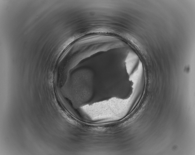 X0000097301329200803071744