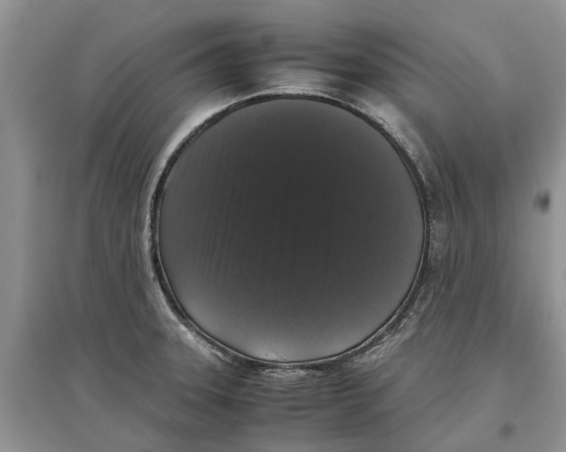 X0000097301331200803071744