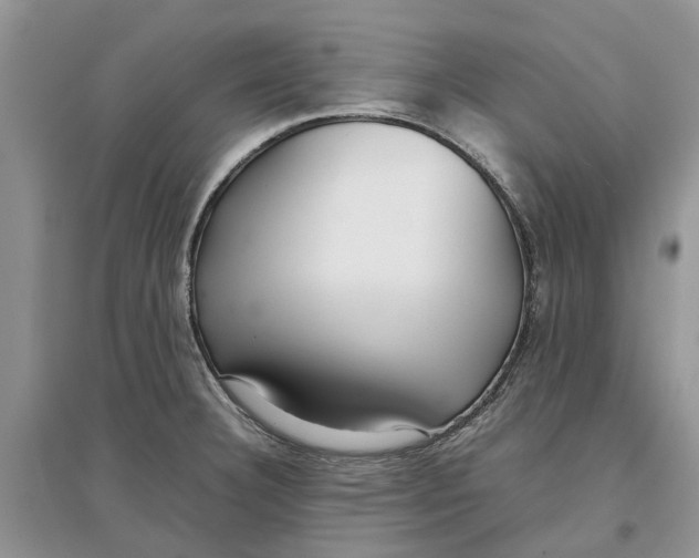 X0000097301332200803071744