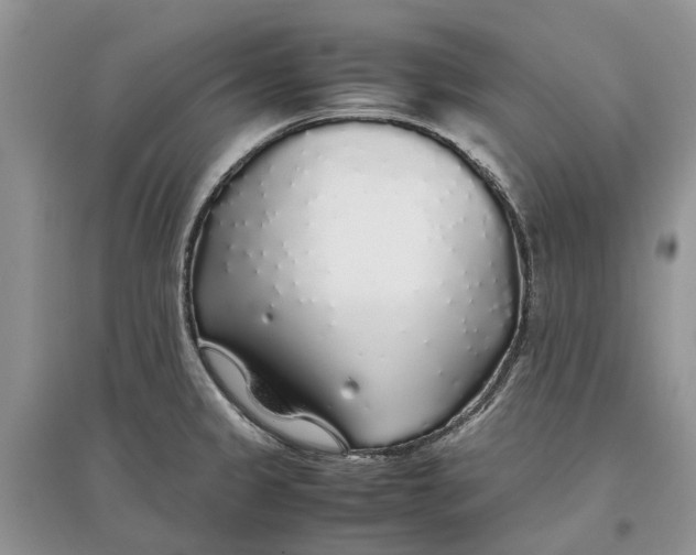 X0000097301333200803071745