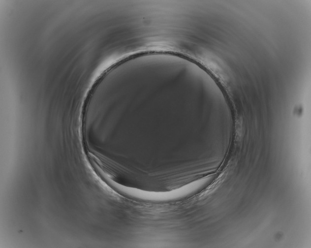 X0000097301334200803071745