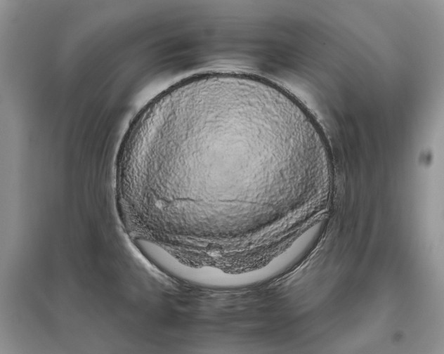 X0000097301335200803071745