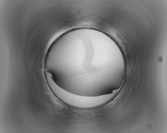 X0000097301336200803071745