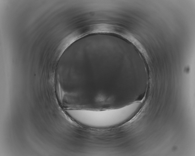 X0000097301337200803071745