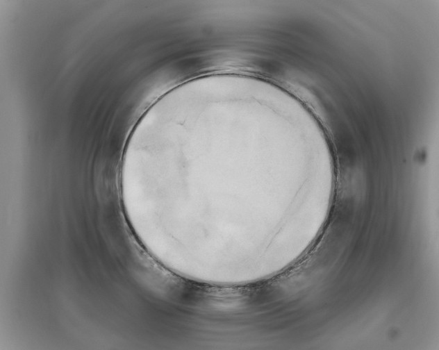 X0000097301338200803071745