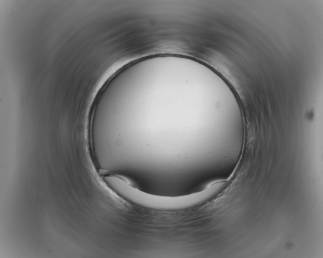 X0000097301339200803071745