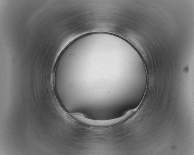 X0000097301340200803071745