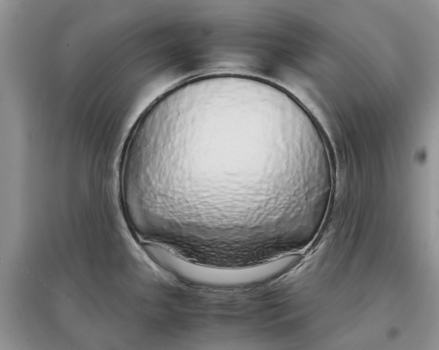 X0000097301341200803071745