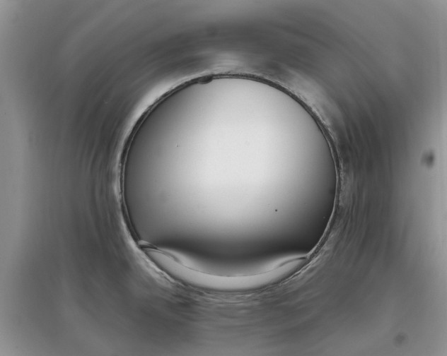 X0000097301342200803071745