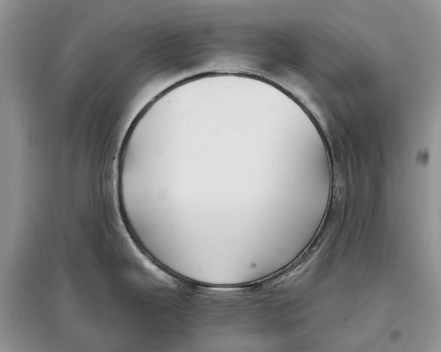 X0000097301343200803071745