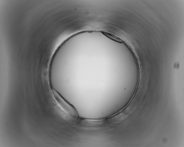 X0000097301344200803071745