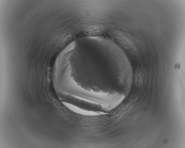 X0000097301346200803071744