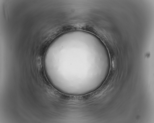 X0000097301347200803071744