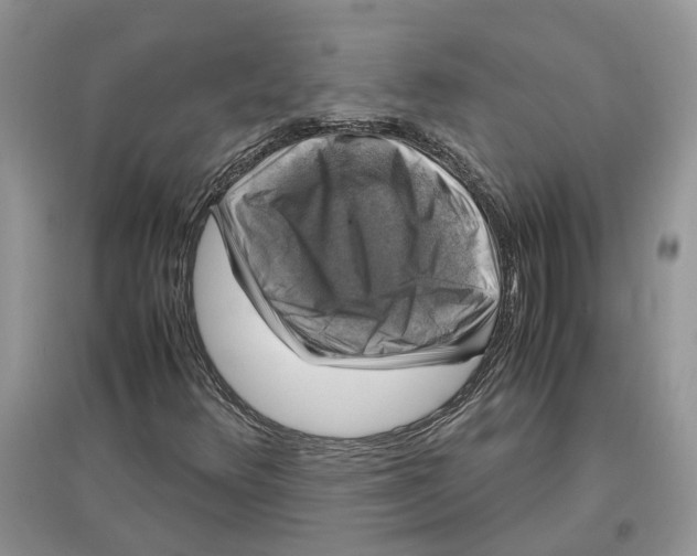 X0000097301348200803071744