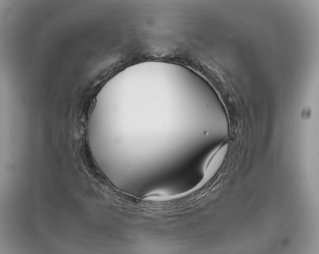 X0000097301349200803071744