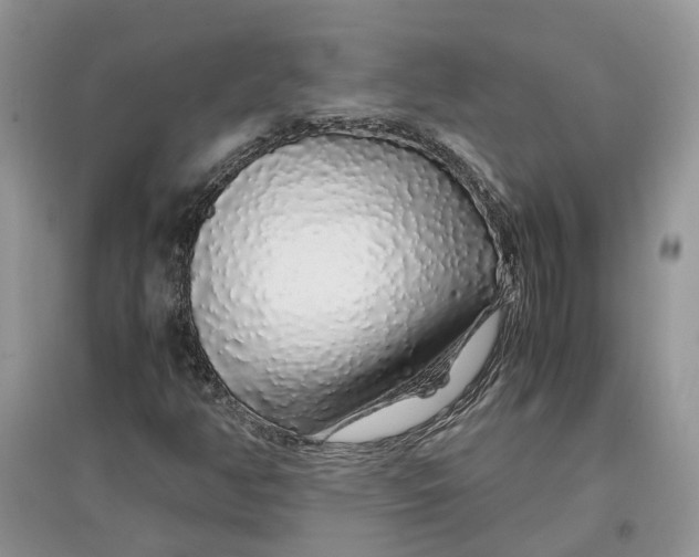 X0000097301350200803071744