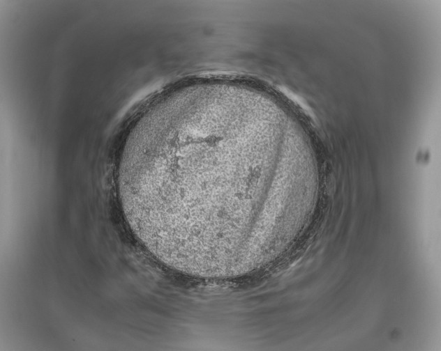 X0000097301351200803071744