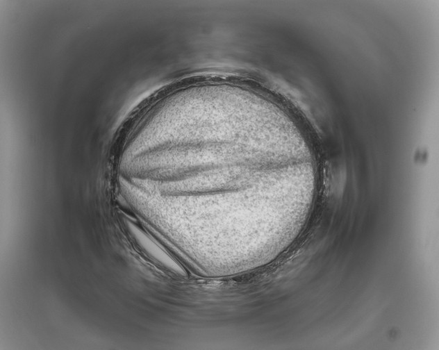 X0000097301352200803071744