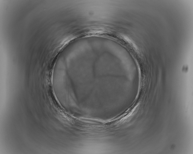 X0000097301353200803071744