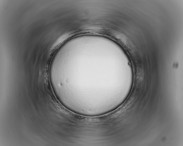 X0000097301354200803071744