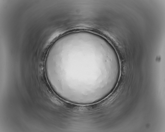 X0000097301355200803071744