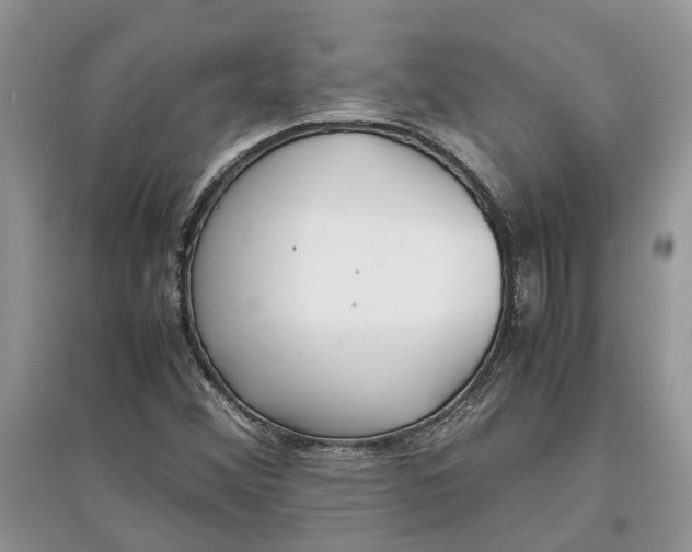 X0000097301356200803071744