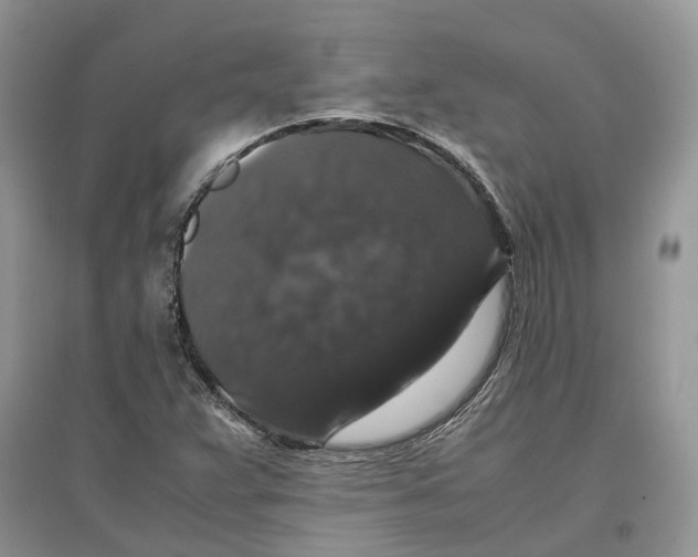 X0000097301359200803071744