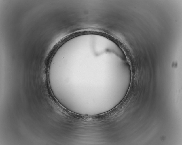 X0000097301360200803071744