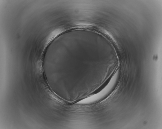 X0000097301362200803071744