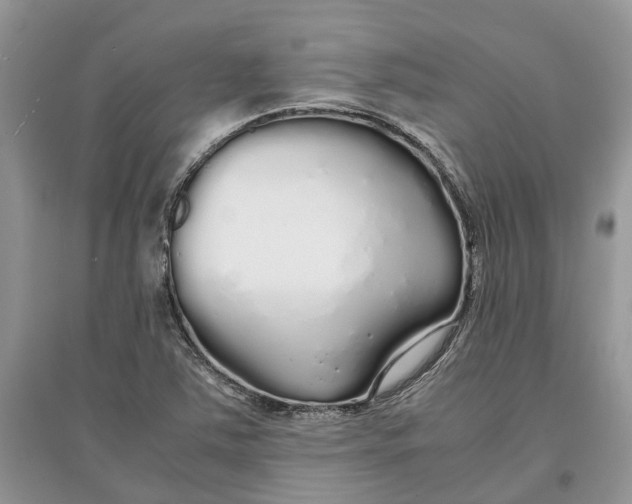 X0000097301363200803071744