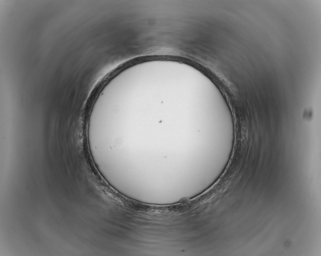 X0000097301364200803071744