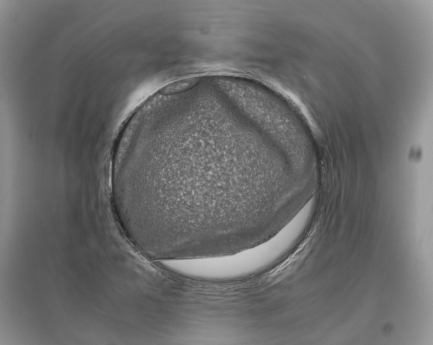 X0000097301365200803071744