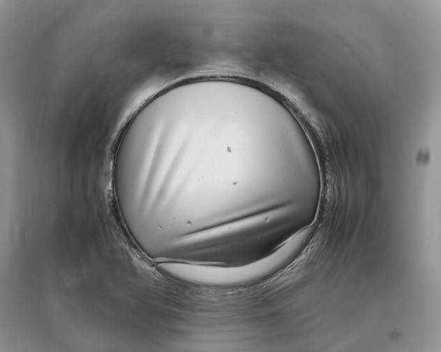 X0000097301366200803071744