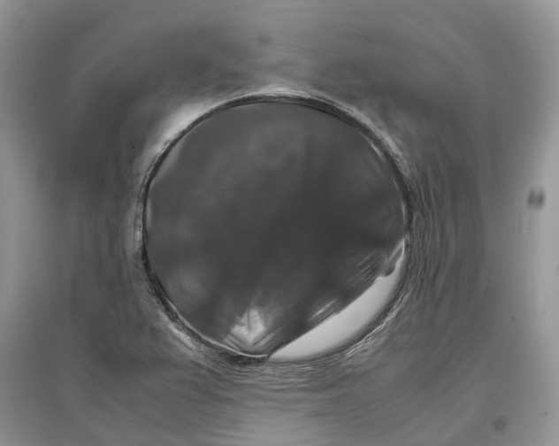 X0000097301367200803071744